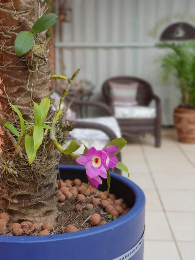 Pousada Do Atoba Florianópolis Екстериор снимка